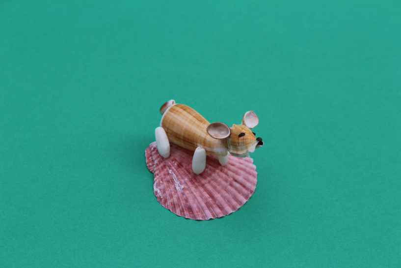 かいのどうぶつえん（ペット館）：ウェルシュコーギー