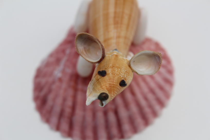 かいのどうぶつえん（ペット館）：ウェルシュコーギー