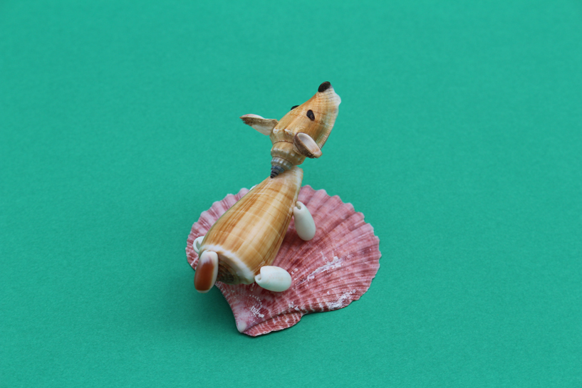 かいのどうぶつえん（ペット館）：ウェルシュコーギー