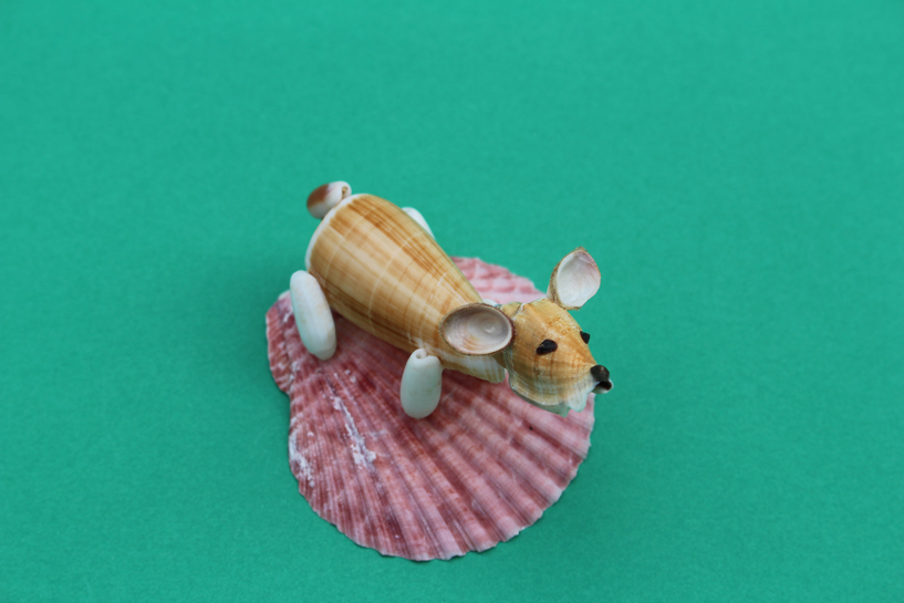かいのどうぶつえん（ペット館）：ウェルシュコーギー