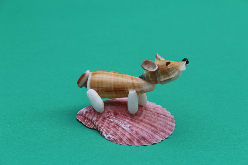 かいのどうぶつえん（ペット館）：ウェルシュコーギー