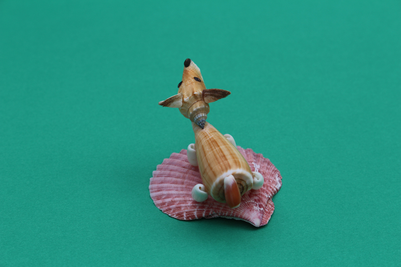 かいのどうぶつえん（ペット館）：ウェルシュコーギー