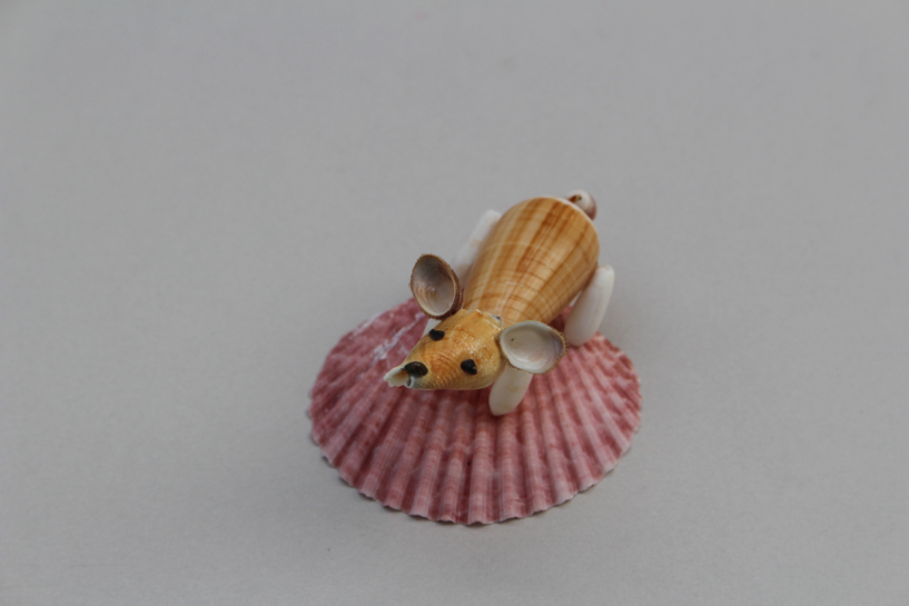 かいのどうぶつえん（ペット館）：ウェルシュコーギー