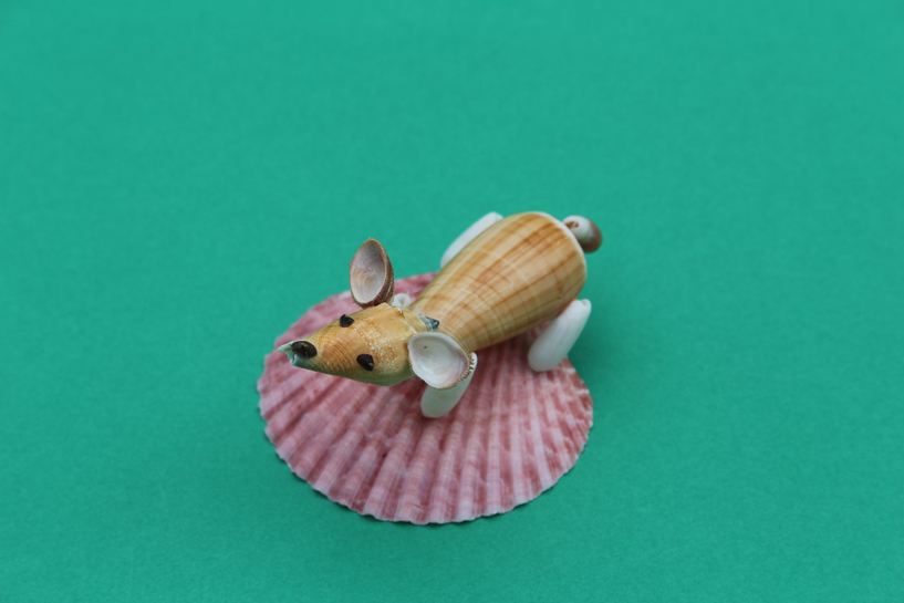 かいのどうぶつえん（ペット館）：ウェルシュコーギー