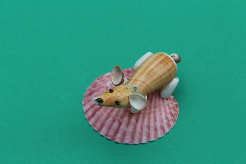 かいのどうぶつえん（ペット館）：ウェルシュコーギー