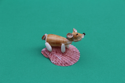 かいのどうぶつえん（ペット館）：ウェルシュコーギー