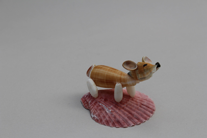 かいのどうぶつえん（ペット館）：ウェルシュコーギー