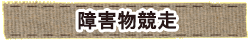 かいのどうぶつえん（スポーツ施設）：障害物競走